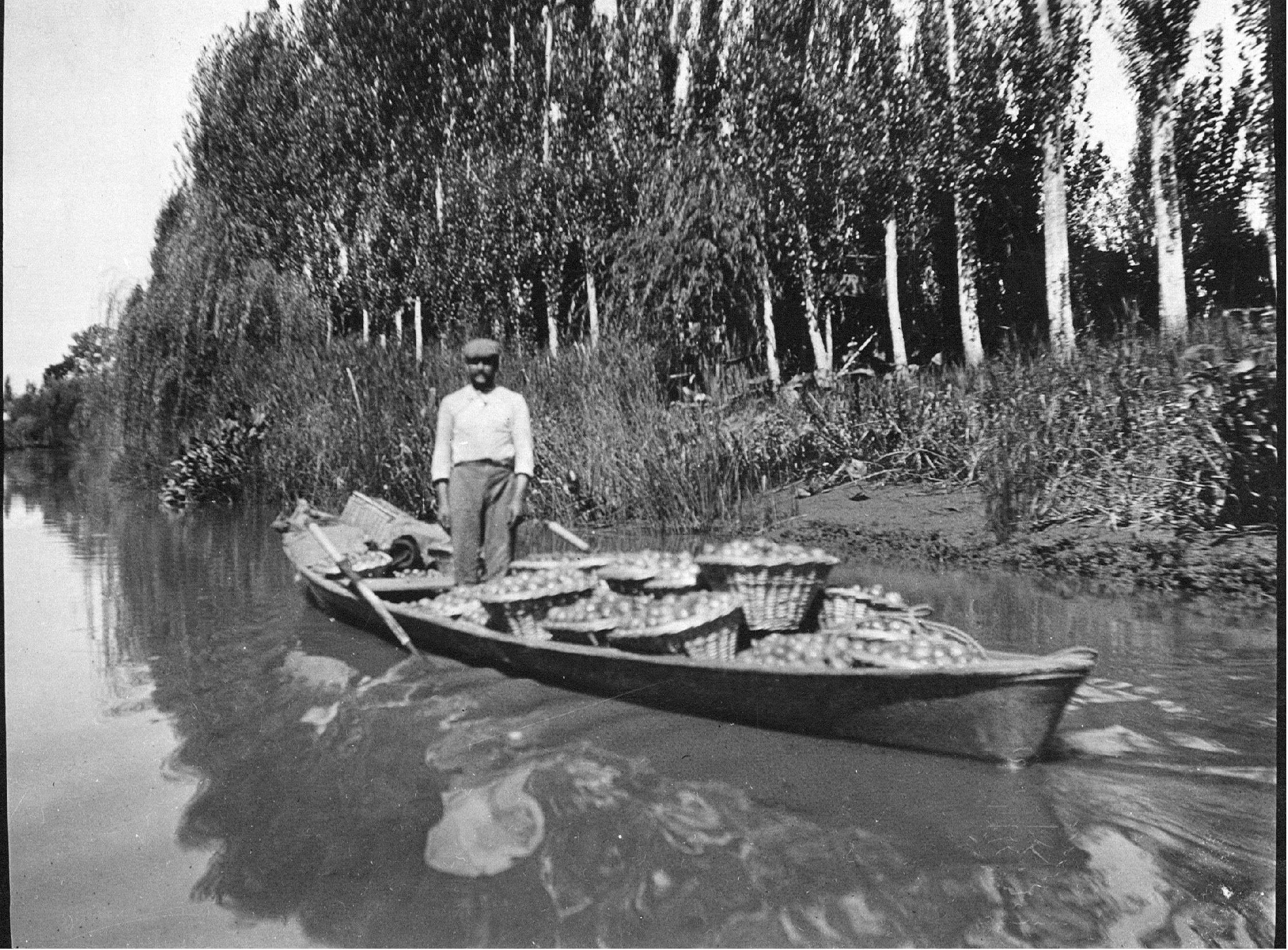 Tigre Histórico 1
