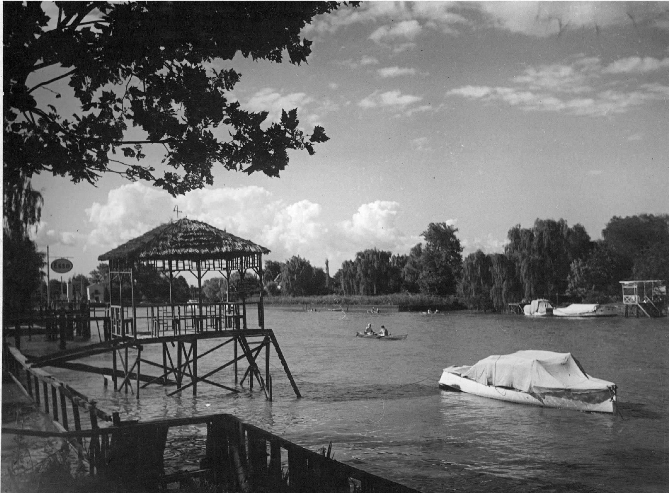 Tigre Histórico 2