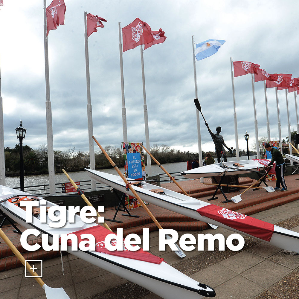 Tigre cuna del remo