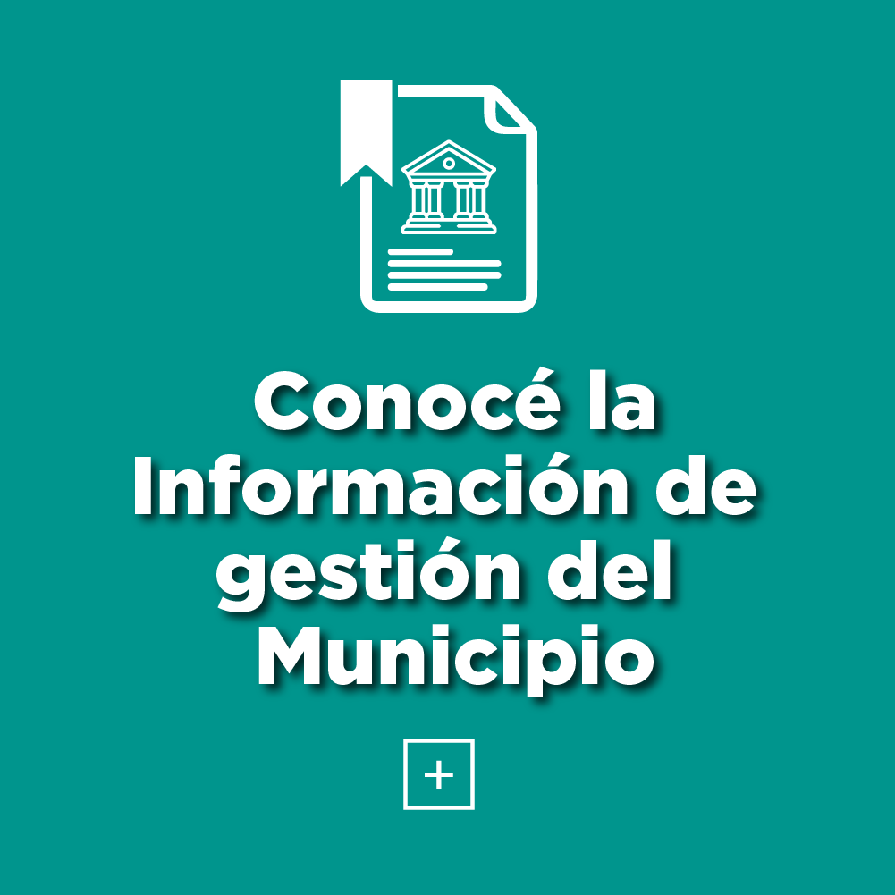 Información de Gestión