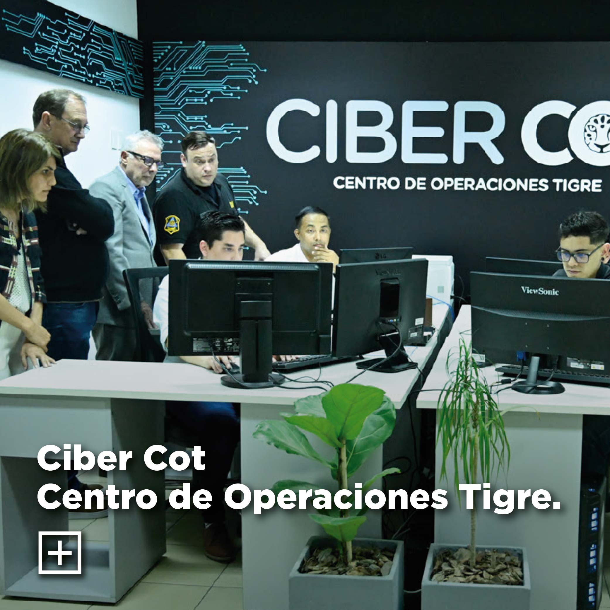 Ciber COT