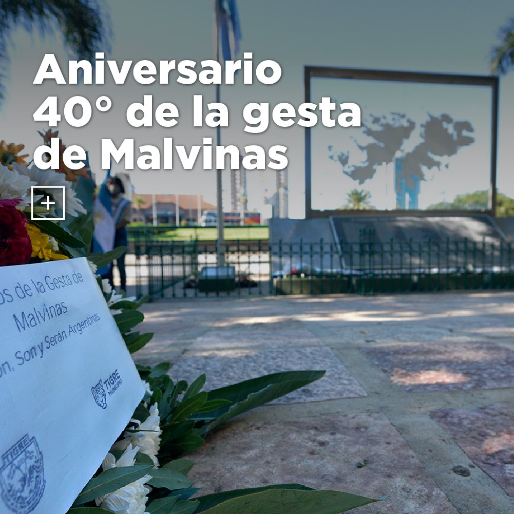 Malvinas Aniversario 40 Años