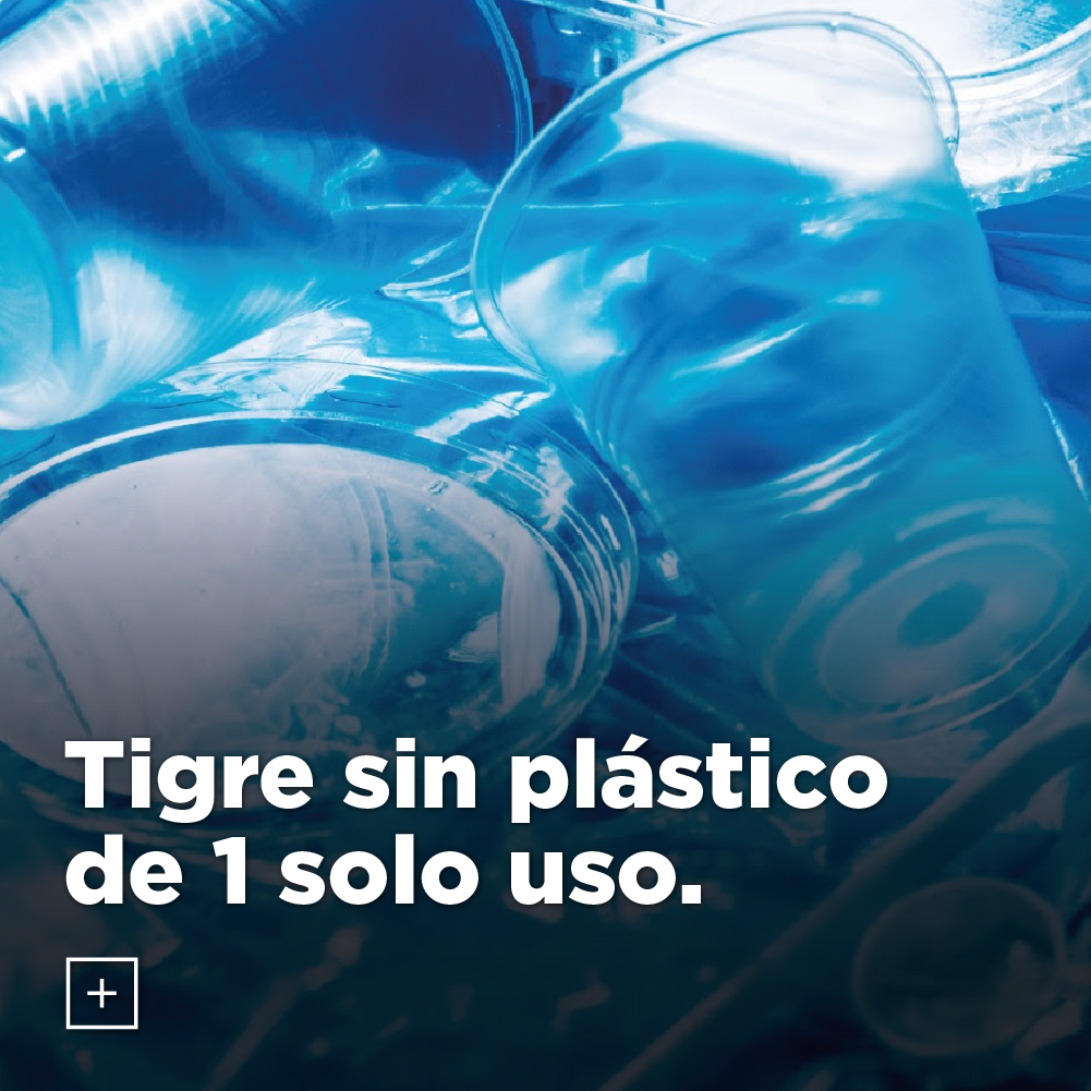 Tigre Sin Plastico