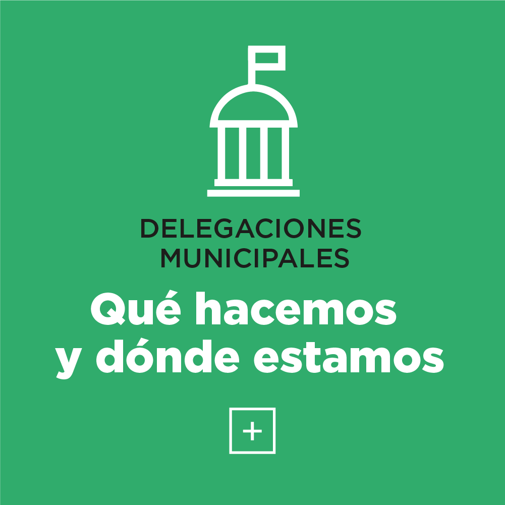Delegaciones municipales