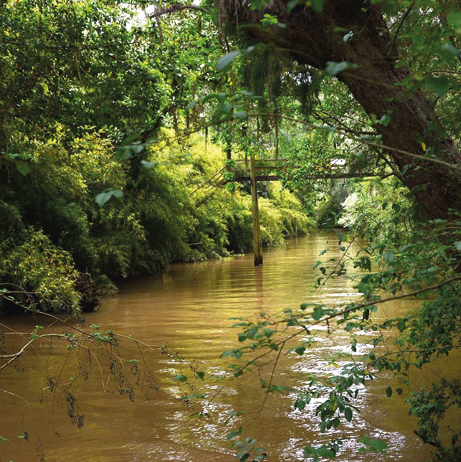 Medioambiente