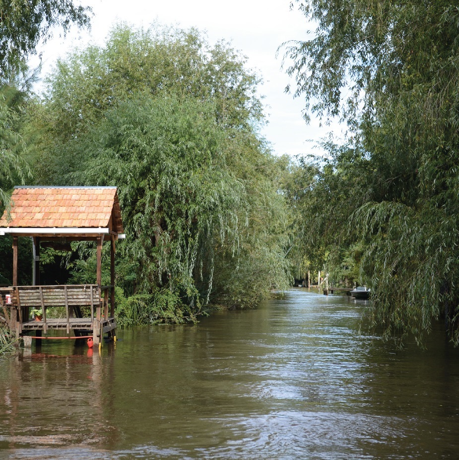 Tigre recicla