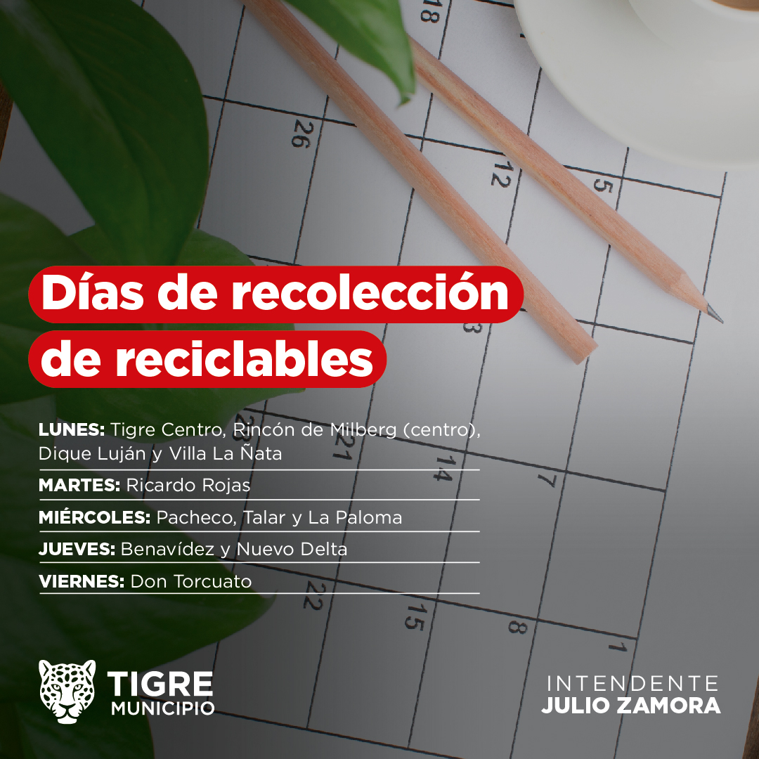 Recicla Día Verde